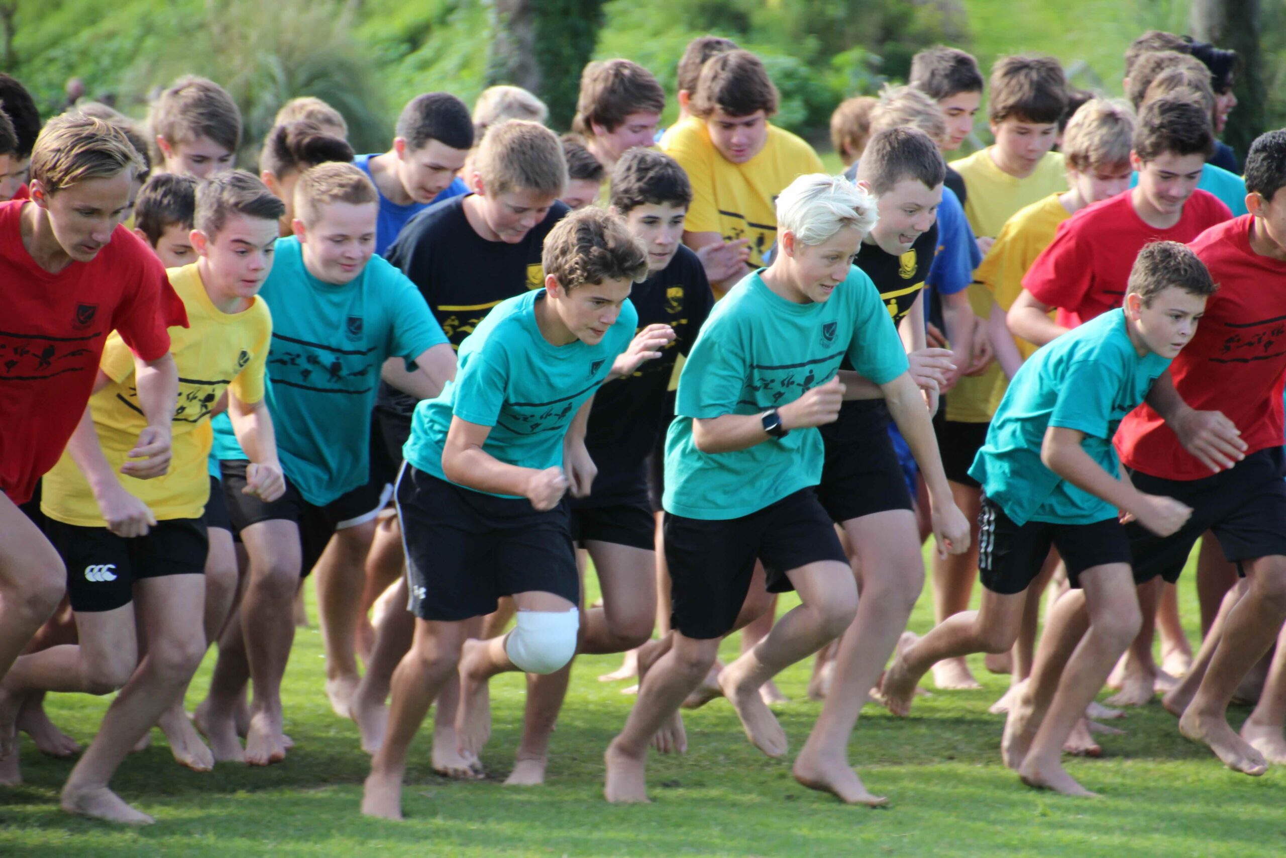 WBHS_Whanau Houses_3